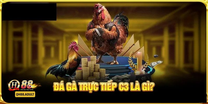 Đá gà tre - Sức hút của Đá gà tre tại QH88